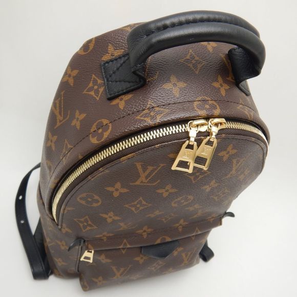 Louis Vuitton Monogram Palm Springs PM Backpack Brown - Picture 4 of 8